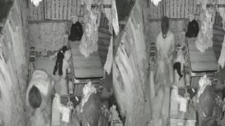 Ajmer step sister caught fucking in real CCTV footage